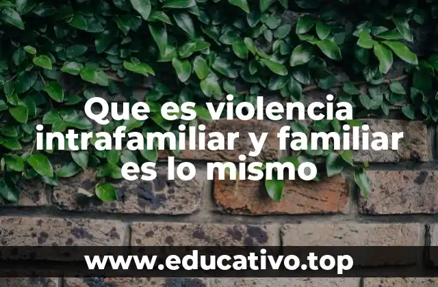 Que es violencia intrafamiliar y familiar es lo mismo