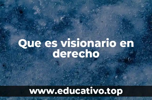 Que es visionario en derecho