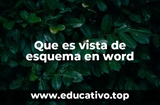 Cómo mejorar la estructura de tus documentos con la vista de esquema