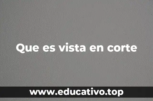 Que es vista en corte