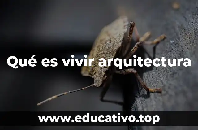 Qué es vivir arquitectura