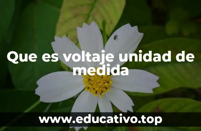 Que es voltaje unidad de medida