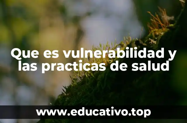 Que es vulnerabilidad y las practicas de salud