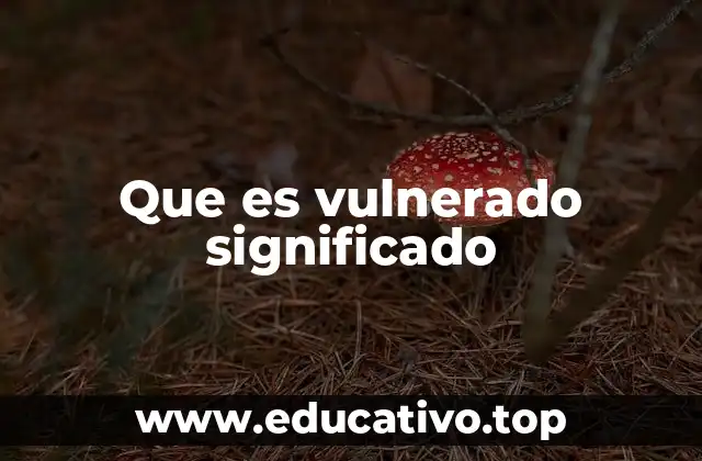 Que es vulnerado significado