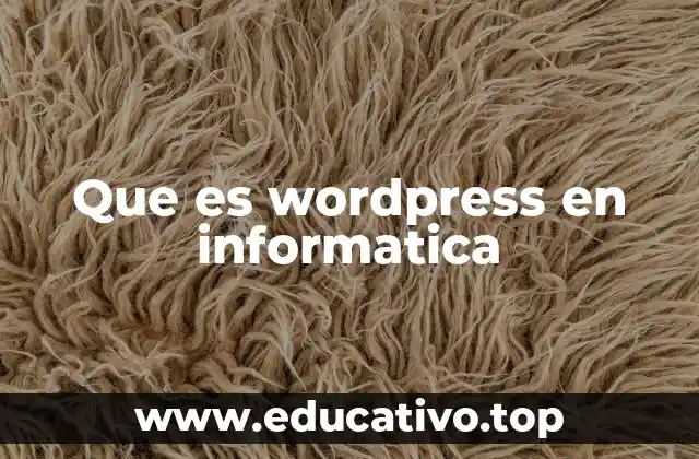 La importancia de WordPress en el desarrollo web