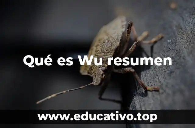 Qué es Wu resumen