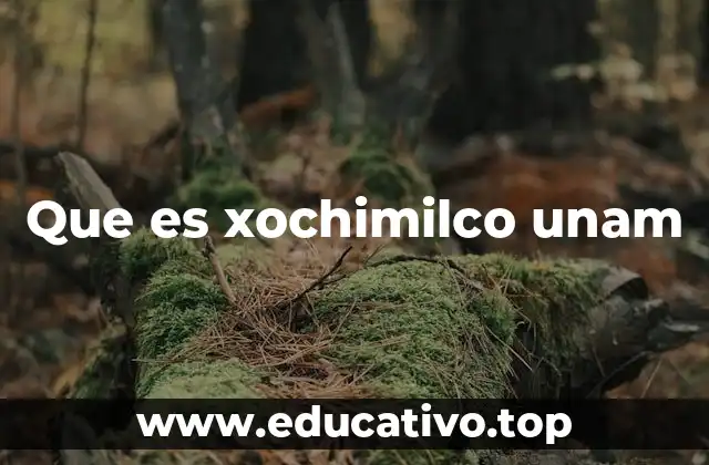 El rol de Xochimilco en la educación superior en México