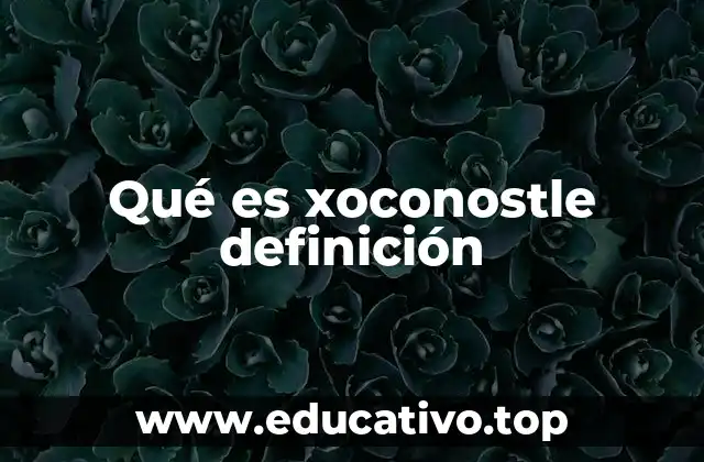 Qué es xoconostle definición