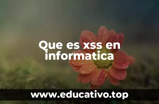 Cómo funciona el ataque XSS