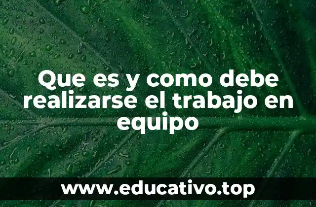 Que es y como debe realizarse el trabajo en equipo