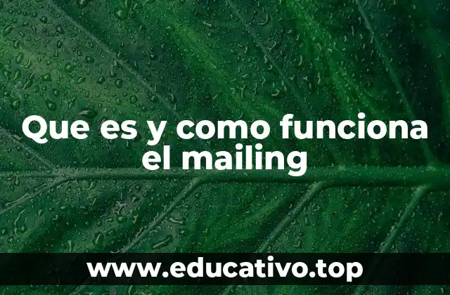 Que es y como funciona el mailing