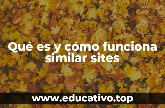 Qué es y cómo funciona similar sites