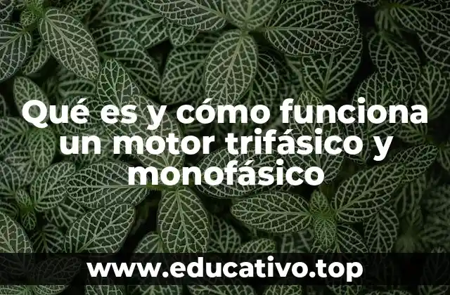 Qué es y cómo funciona un motor trifásico y monofásico