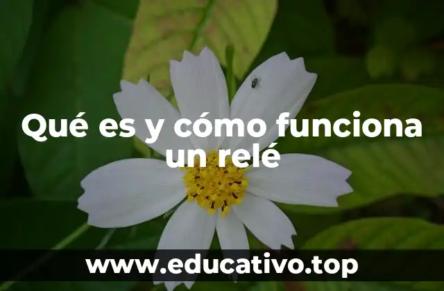 Aplicaciones del relé en sistemas de automatización