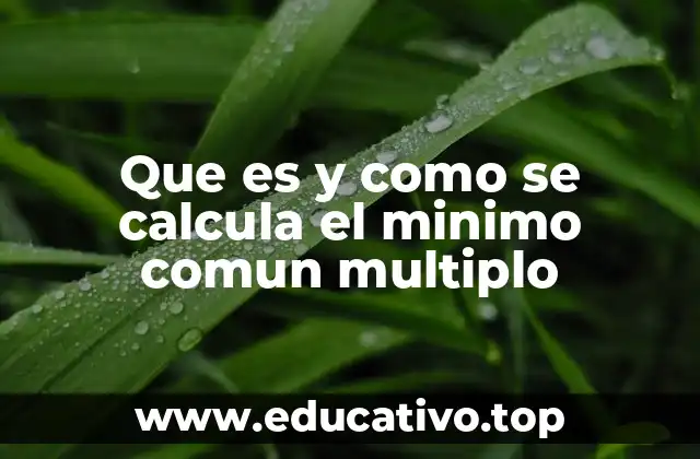 Que es y como se calcula el minimo comun multiplo