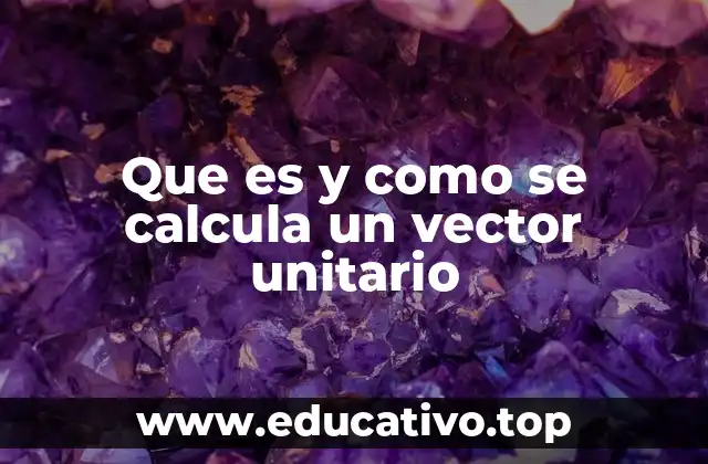 Que es y como se calcula un vector unitario