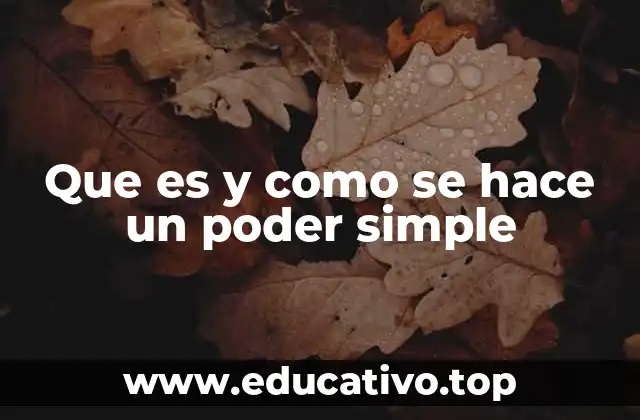 Que es y como se hace un poder simple