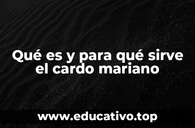 Características y propiedades del cardo mariano
