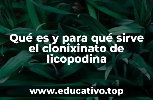 Qué es y para qué sirve el clonixinato de licopodina
