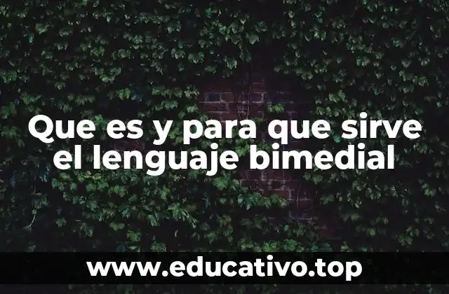 Que es y para que sirve el lenguaje bimedial