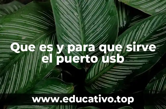 Que es y para que sirve el puerto usb