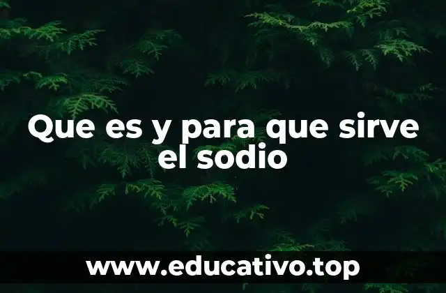 El sodio en el equilibrio iónico del cuerpo humano