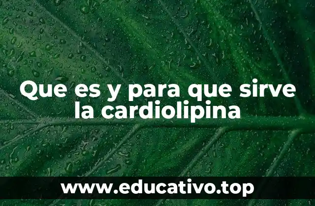 Que es y para que sirve la cardiolipina