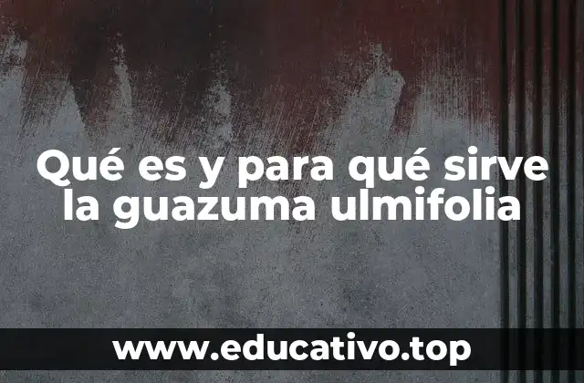 Qué es y para qué sirve la guazuma ulmifolia