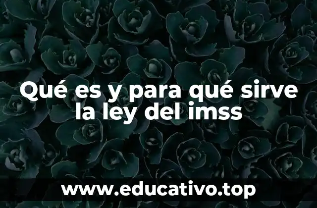 Qué es y para qué sirve la ley del imss