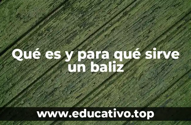 Qué es y para qué sirve un baliz