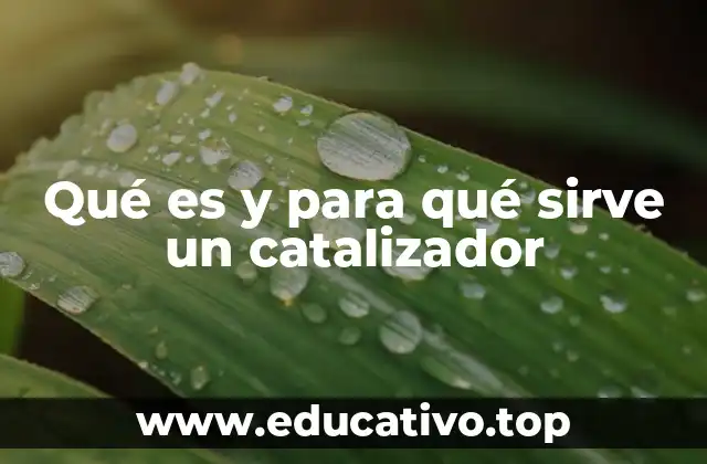 La importancia de los catalizadores en la química moderna