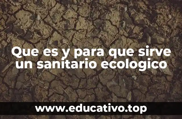 Que es y para que sirve un sanitario ecologico