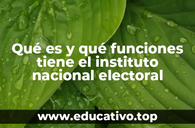 Qué es y qué funciones tiene el instituto nacional electoral