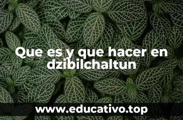 Que es y que hacer en dzibilchaltun