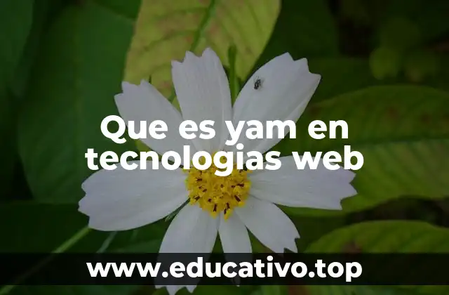 El papel de Yam en el desarrollo web actual