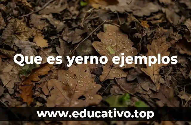 La dinámica familiar entre yerno e suegra