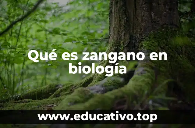 Qué es zangano en biología