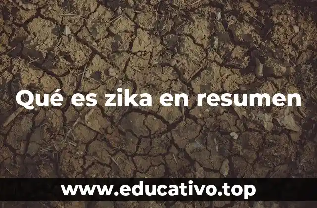 Qué es zika en resumen