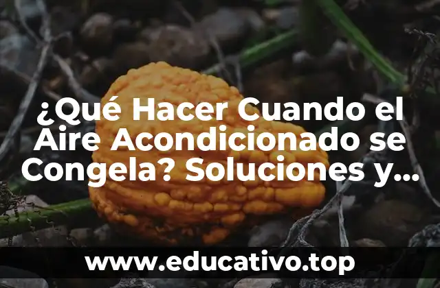 ¿Qué Hacer Cuando el Aire Acondicionado se Congela? Soluciones y Consejos