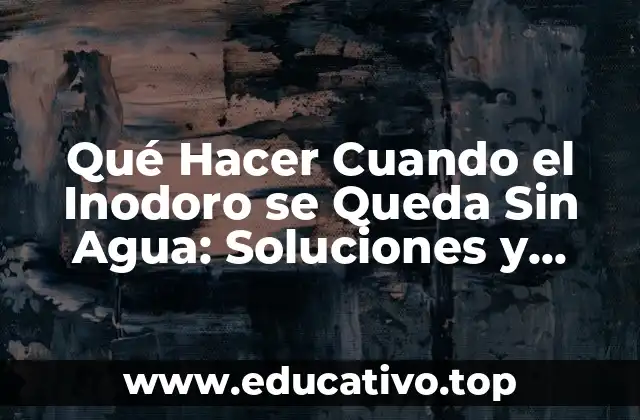 Qué Hacer Cuando el Inodoro se Queda Sin Agua: Soluciones y Consejos