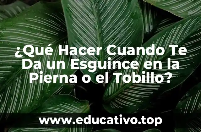 ¿Qué Hacer Cuando Te Da un Esguince en la Pierna o el Tobillo?