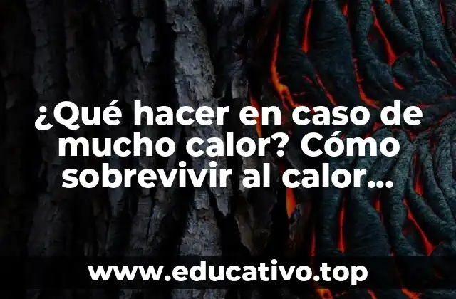¿Qué hacer en caso de mucho calor? Cómo sobrevivir al calor extremo