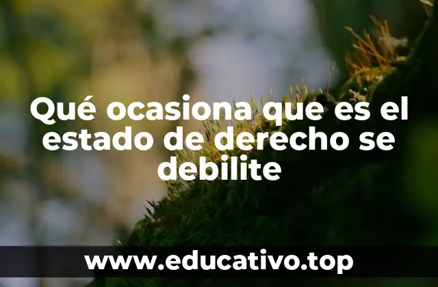 Qué ocasiona que es el estado de derecho se debilite