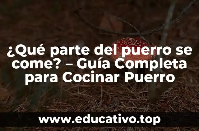 ¿Qué parte del puerro se come? – Guía Completa para Cocinar Puerro