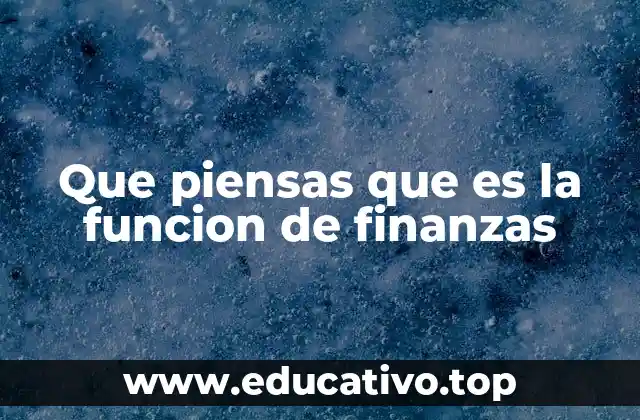 Que piensas que es la funcion de finanzas