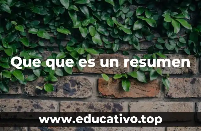 Que que es un resumen