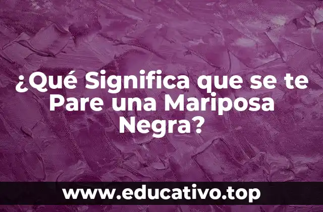 ¿Qué Significa que se te Pare una Mariposa Negra?