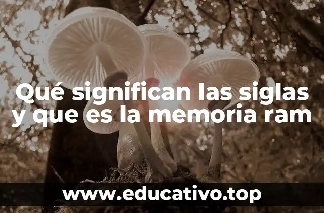 Qué significan las siglas y que es la memoria ram