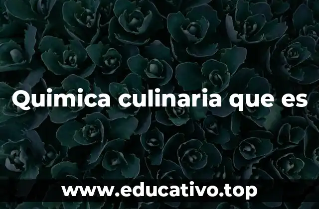 Quimica culinaria que es