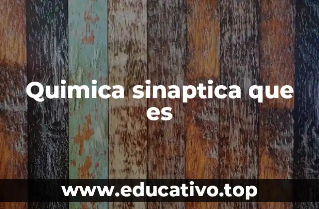 Cómo se establece la comunicación entre neuronas